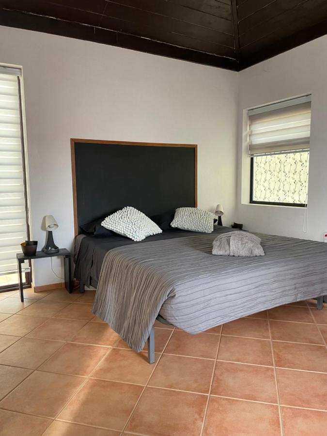 Blue Eagle Guesthouse - Casa De Hospedes Santa Maria Eksteriør billede